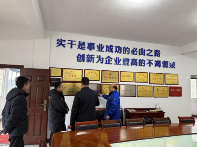 洪江區(qū)工委社會工作部走訪調(diào)研我司黨建工作